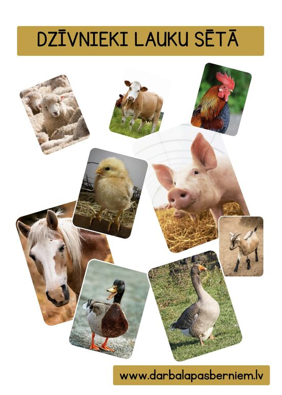 20 PRINTĒJAMAS KARTĪTES - DZĪVNIEKI LAUKU SĒTĀ